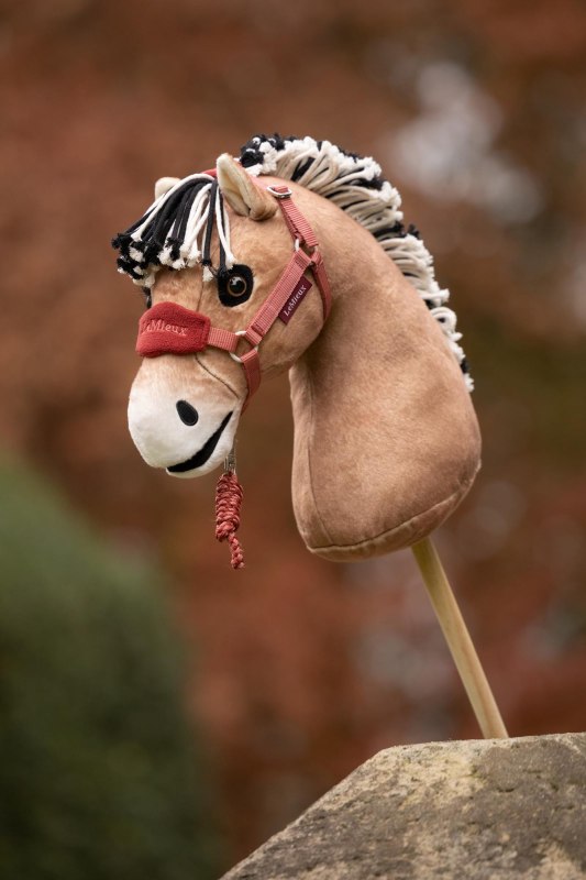 IT09330 lifestyle hobbyhorsevogueheadcollar spicedearth 01
