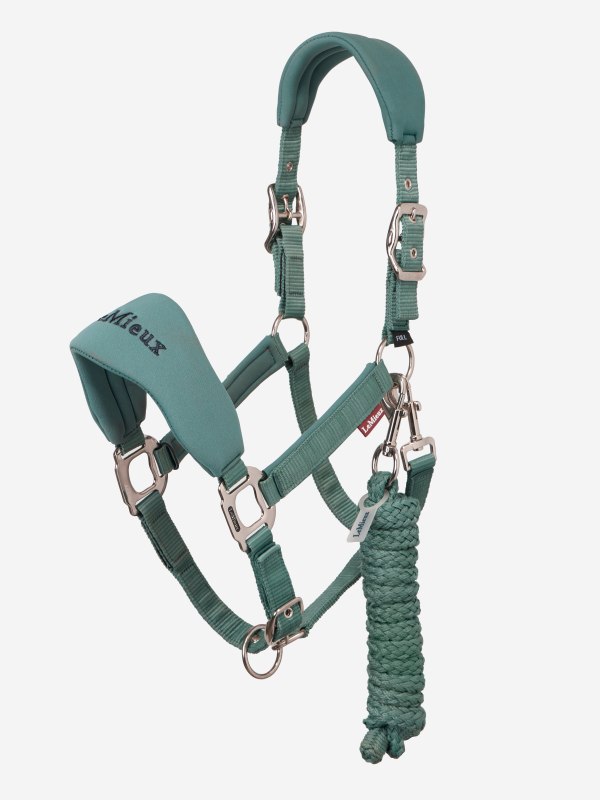 IT09432 product breakawayvogueheadcollarandleadrope aloe 01