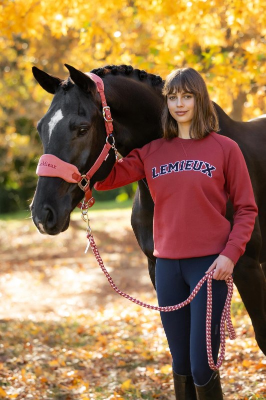 IT09628 lifestyle vidavarsitycrewnecksweat russet 001