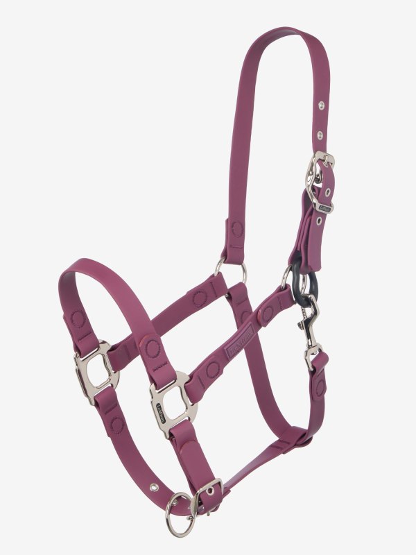 IT09848 product fieldflexbreakawayheadcollar blackberry 1