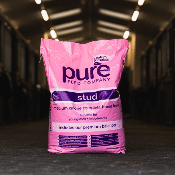 Pure Feed Single Bags Stud 600x600