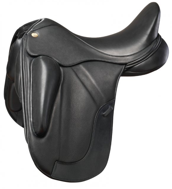 Fairfax Fairfax Performance Petrus Dressage