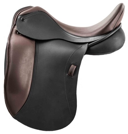 Ideal Ideal Suzannah Dressage