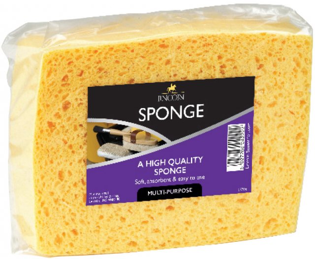 Lincoln Lincoln Sponge