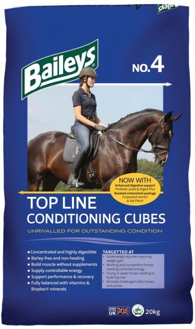 Baileys Baileys No 4 Top Line Conditioning Cubes