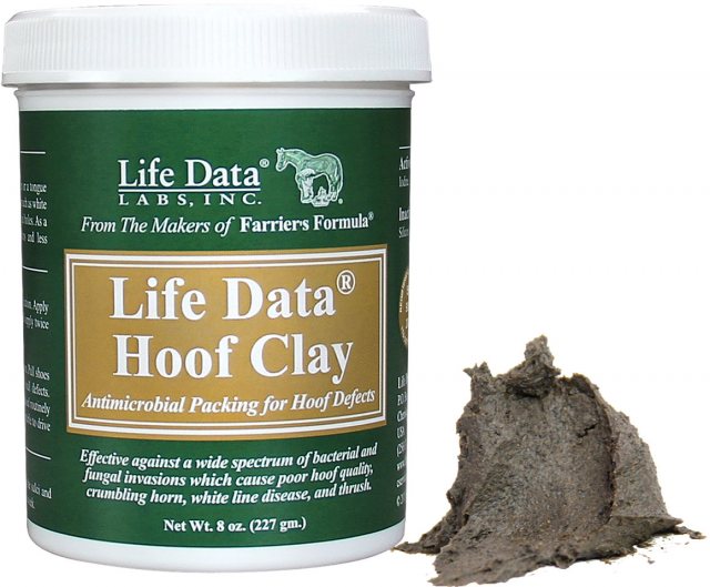 Battles Life Data Hoof Clay