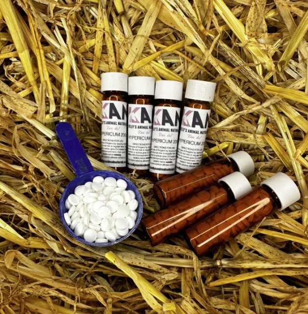 Kelly's Animal Naturals Natraliving Horse Hypericuim