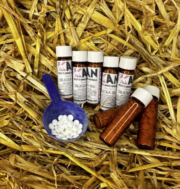 Kelly's Animal Naturals Kelly's Animal Naturals Silicea