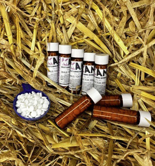 Kelly's Animal Naturals Kelly's Animal Naturals Rhus Tox