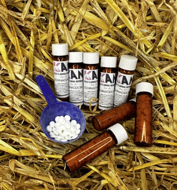 Kelly's Animal Naturals Kelly's Animal Naturals Echinacea 30X