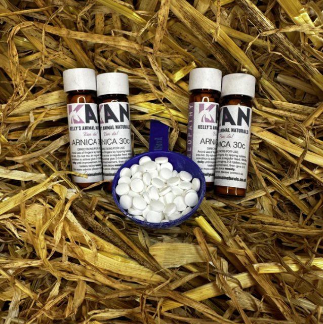 Kelly's Animal Naturals Kelly's Animal Naturals Arnica 30