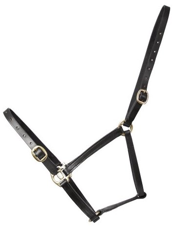 Hy Leather Foal Head Collar