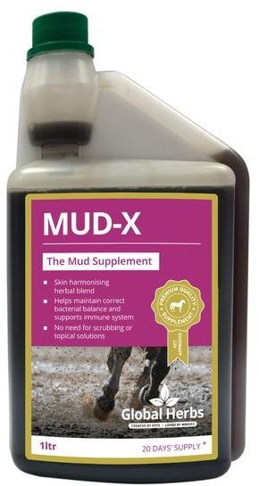 Global Herbs Global Herbs Mud-X Syrup
