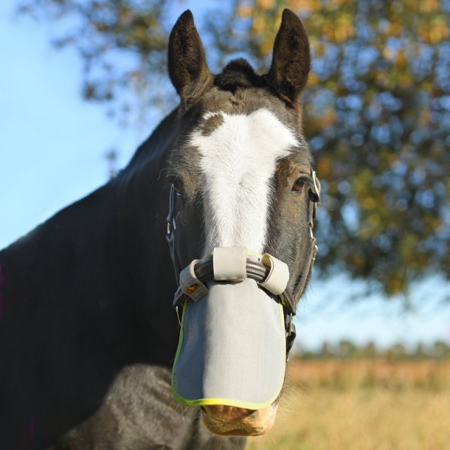 Horse wearing Equilibrium Field Relief Muzzle Protector