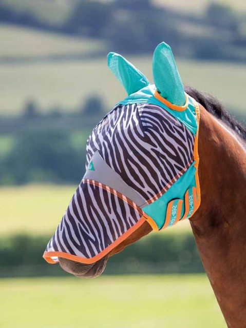 Horse wearing Shires Zeb-Tek Fly Mask