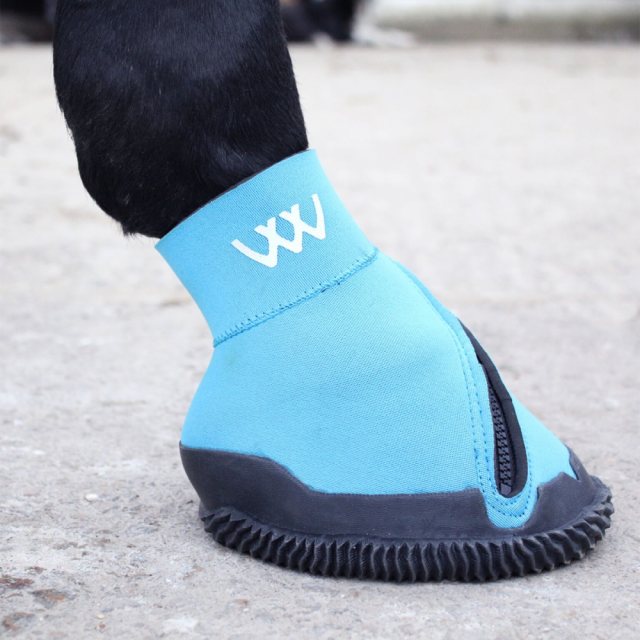 Horse's hoof in Woof Wear Medical Hoof Boot