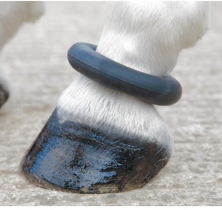 Shires Shires Fetlock Ring