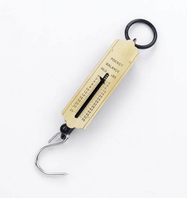 Battle, Haywood & Bower Ltd Spring Balance