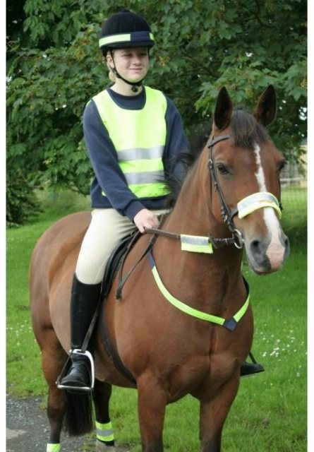 Airowear Airowear Highlite Reflective Tabard