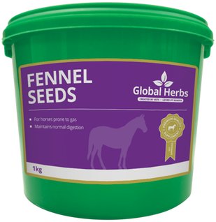 Global Herbs Global Herbs Fennel Seeds