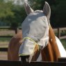 Grey fly mask covering horse's face and ears