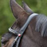 Kieffer Kieffer Ultrasoft Flash Bridle