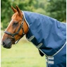 Screenshot 15 10 2026 15951 www redpostequestrian co uk