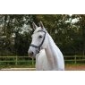 EcoRider Ecorider Freedom Comfort Bridle
