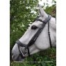 White horse with bridle