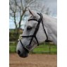 White horse with grackle bridle