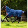 Horse galloping in field in blue turnout rug