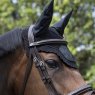 Horse wearing LeMieux Acoustic Pro Fly Hood