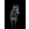 EcoRider Ecorider Freedom Breastplate