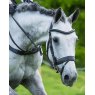 Fairfax Flash Noseband