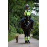 Rider on horse in full high viz gear