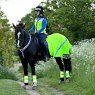 Horse standing on a UK footpath