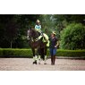 Rider on horse dressed in safety reflective gear