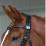 Fairfax Headpiece - Snaffle Bridle