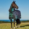 Horse wearing Weatherbeeta Green-Tec 900D Detach-A-Neck Medium