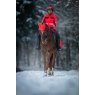 Riding a horse through the snow in hi viz jacket