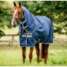 Screenshot 15 10 2026 161616 www redpostequestrian co uk
