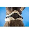 LeMieux LeMieux Lambswool Anatomic Girth Cover