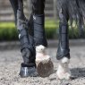 Horse legs in Brushing Boots