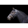 Ecorider Leather Headcollar