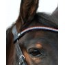 Ecorider Freedom Victoria Browband