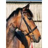 EcoRider Ecorider Classic Comfort Bridle