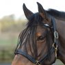 Horse wearing Saxon Fly Fringe