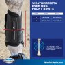 Weatherbeeta Weatherbeeta Eventing Front Boots