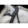 EcoRider Ecorider Freedom Comfort Browband