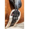 LeMieux LeMieux Dressage Girth Cover